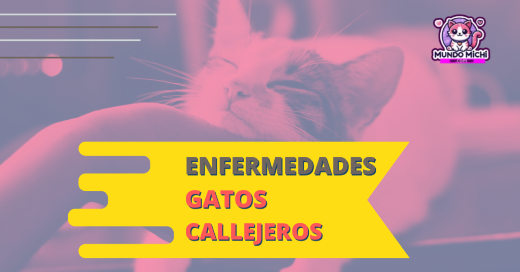 Enfermedades de Gatos Callejeros