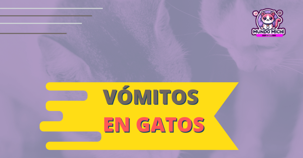 vomitos en gatos