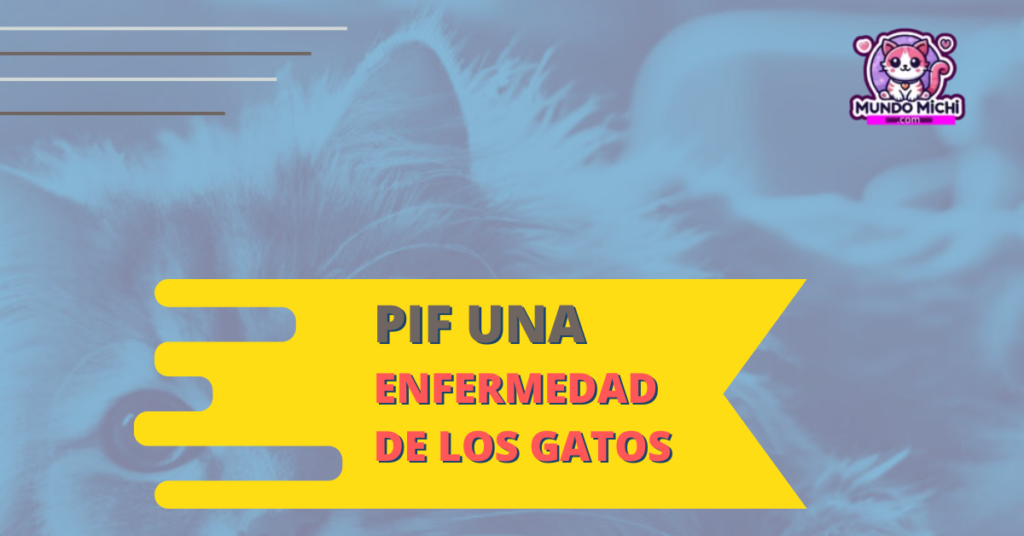 PIF UNA ENFERMEDAD EN LOS GATOS