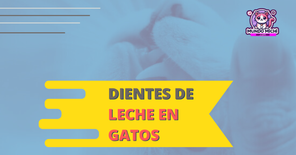 Dientes de leche en gatos