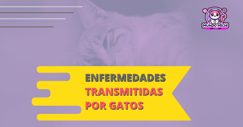 enfermedades transmitidas por los gatos