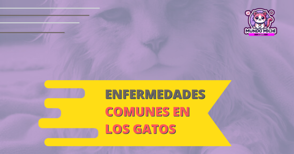 enfermedades comunes en los gatos