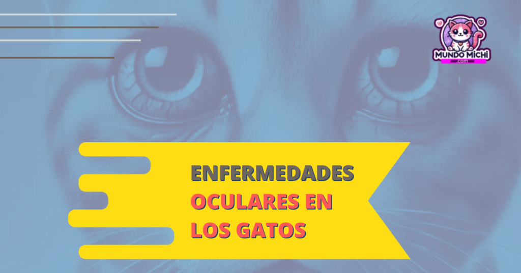 Enfermedades oculares o en los ojos de los gatos