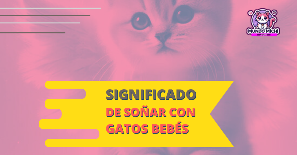 El significado de soñar con gatos bebés