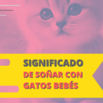 El significado de soñar con gatos bebés