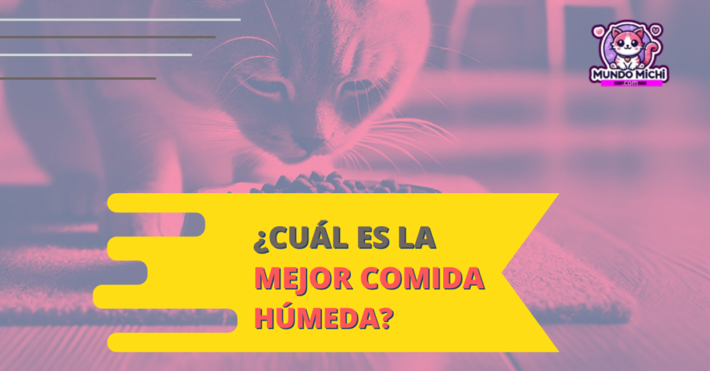 cual es la mejor comida humeda para los gatos